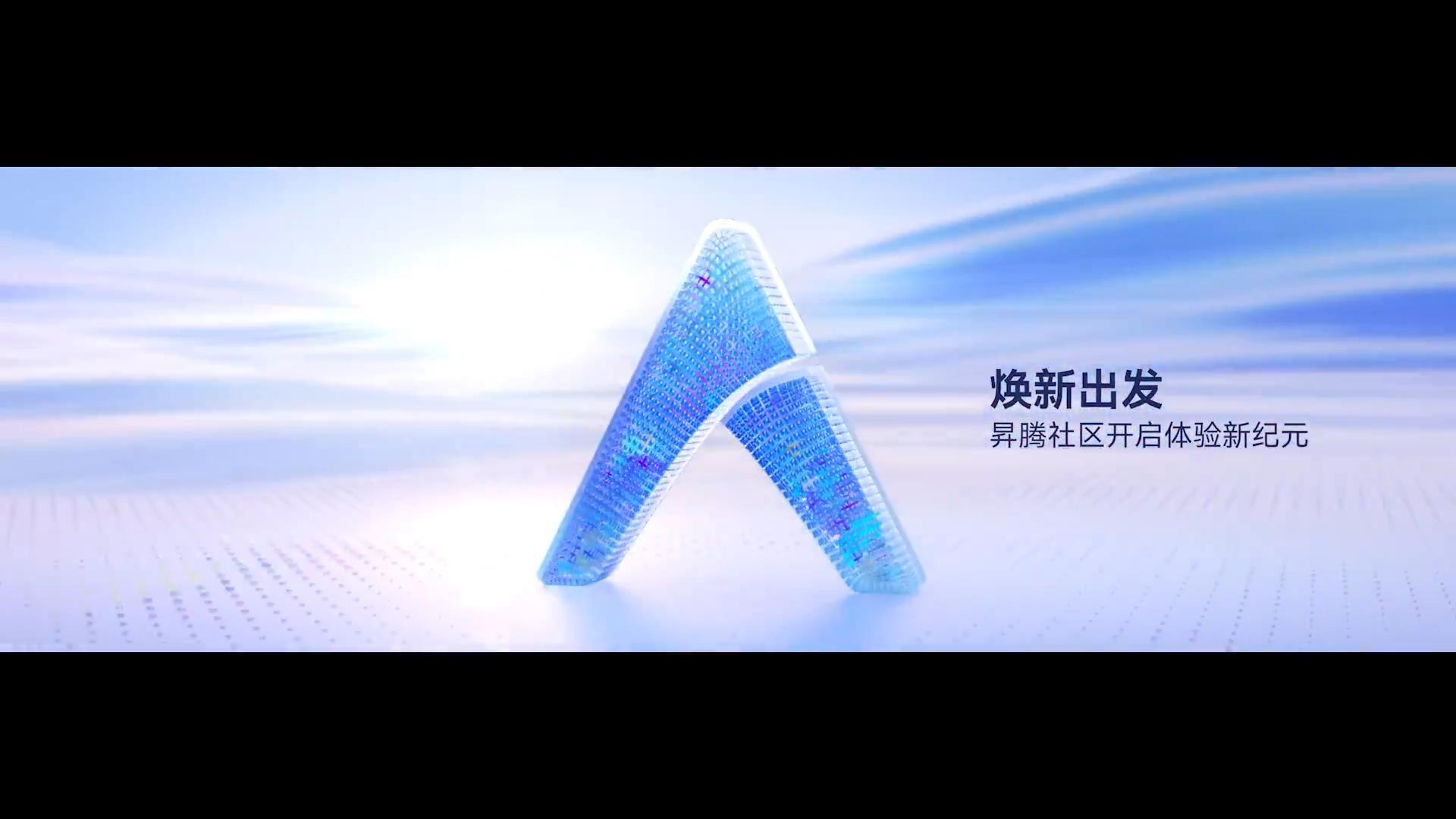 作品D封面
